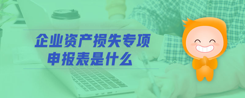 企業(yè)資產(chǎn)損失專項申報表是什么