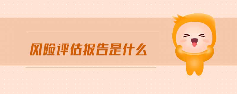 風(fēng)險評估報告是什么