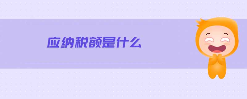 應(yīng)納稅額是什么