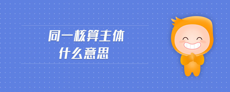 同一核算主體什么意思