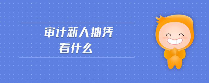 審計新人抽憑看什么