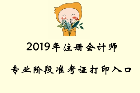 2019年河北注冊會計師專業(yè)階段準考證打印入口已開通