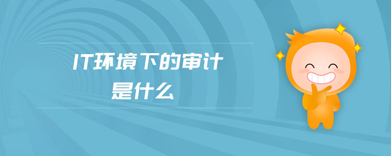 IT環(huán)境下的審計(jì)是什么