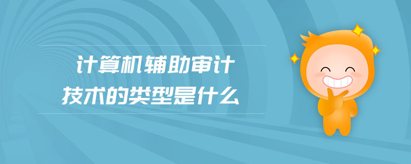 計算機輔助審計技術的類型是什么