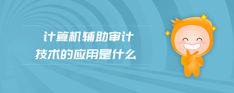 計(jì)算機(jī)輔助審計(jì)技術(shù)的應(yīng)用是什么