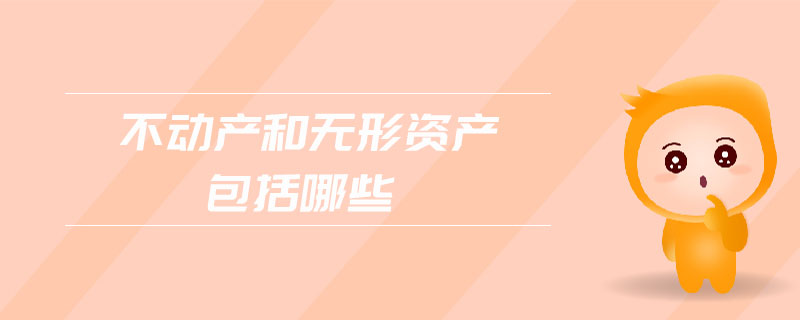不動(dòng)產(chǎn)和無形資產(chǎn)包括哪些