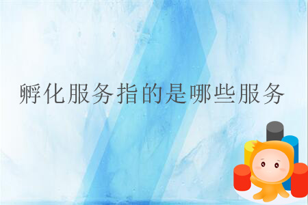 孵化服務(wù)指的是哪些服務(wù),？