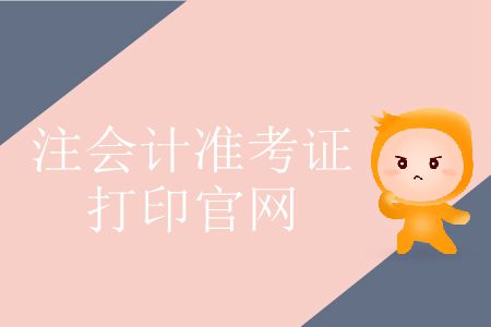 2019年cpa考試準(zhǔn)考證打印網(wǎng)址