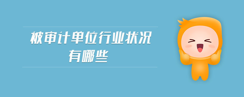 被審計(jì)單位行業(yè)狀況有哪些