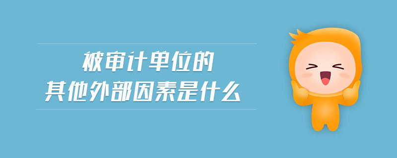 被審計單位的其他外部因素是什么