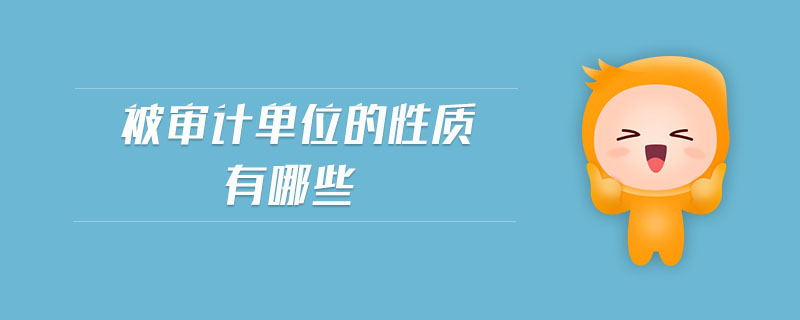 被審計(jì)單位的性質(zhì)有哪些