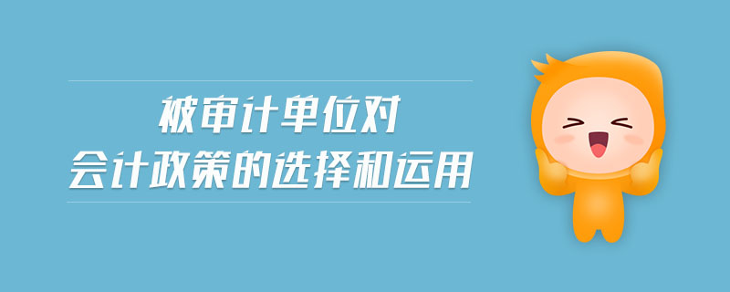 被審計(jì)單位對(duì)會(huì)計(jì)政策的選擇和運(yùn)用