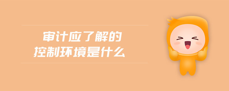 審計(jì)應(yīng)了解的控制環(huán)境是什么