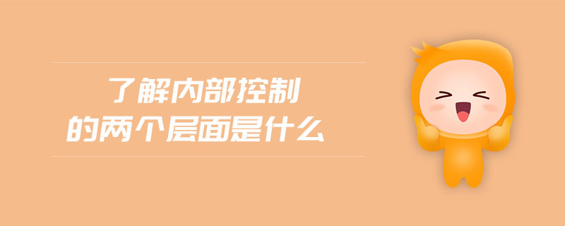 了解內(nèi)部控制的兩個層面是什么