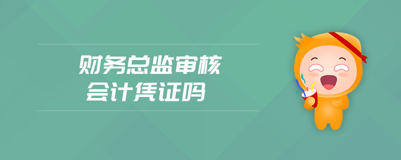 財(cái)務(wù)總監(jiān)審核會計(jì)憑證嗎