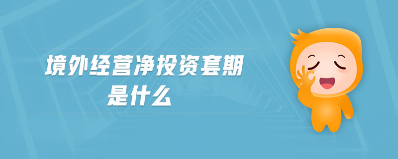 境外經(jīng)營(yíng)凈投資套期是什么