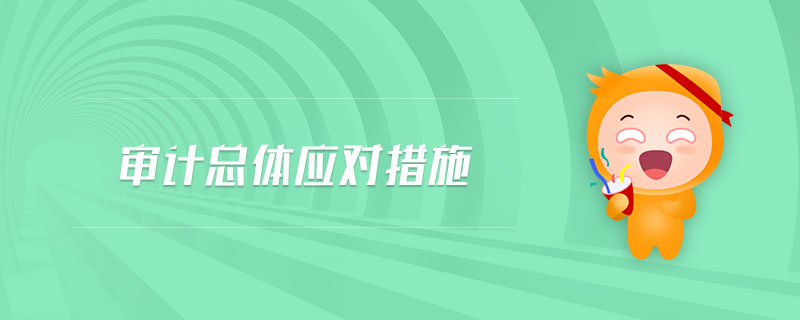 審計(jì)總體應(yīng)對(duì)措施