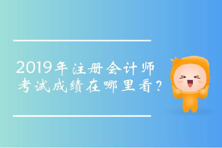 2019年注冊會計師考試成績在哪里看,？