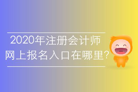 2020年注冊(cè)會(huì)計(jì)師網(wǎng)上報(bào)名入口在哪里,？