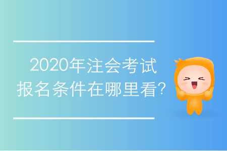 2020年注會考試報名條件在哪里看,？