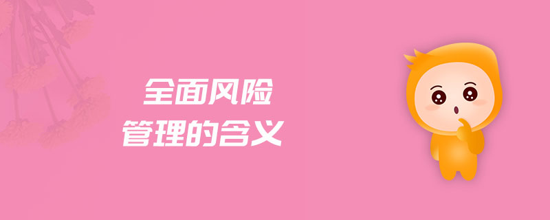 全面風(fēng)險管理的含義