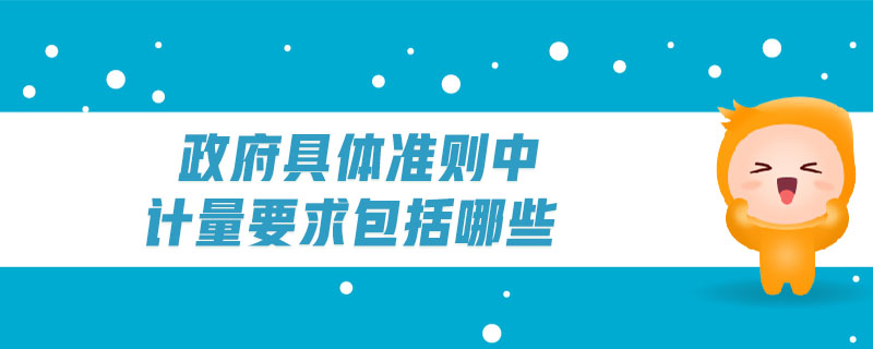 政府具體準則中計量要求包括哪些