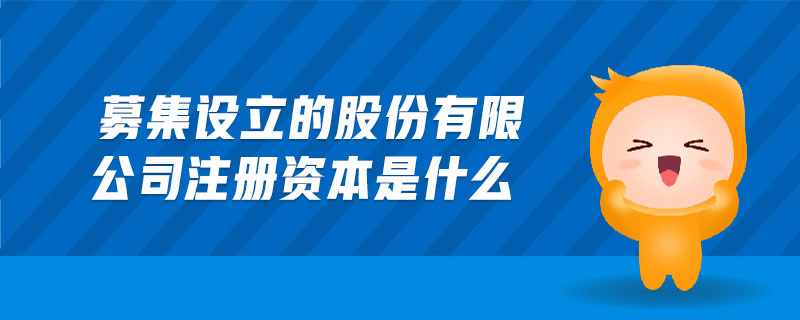 募集設(shè)立的股份有限公司注冊(cè)資本是什么