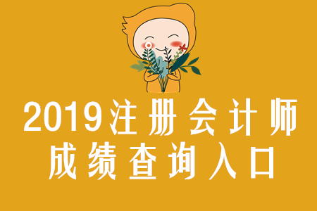 2019年北京注冊會計師成績查詢?nèi)肟谝验_通