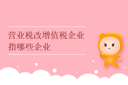 營業(yè)稅改增值稅企業(yè)指哪些企業(yè),？