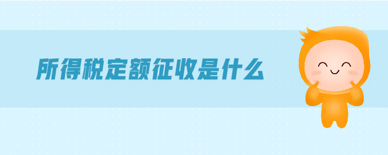 所得稅定額征收是什么