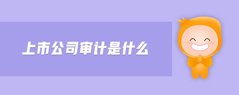 上市公司審計是什么