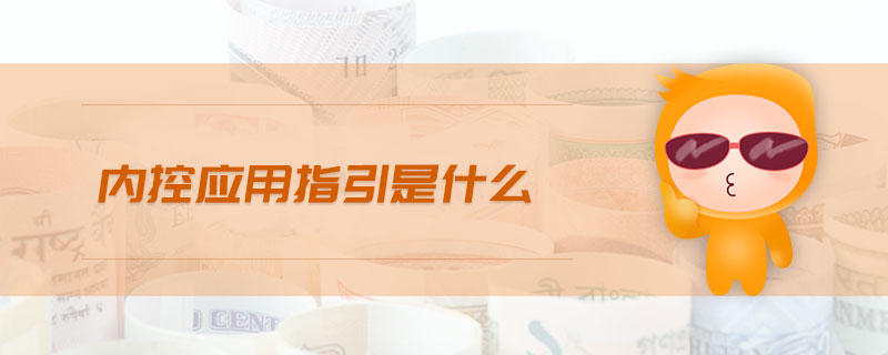 內控應用指引是什么