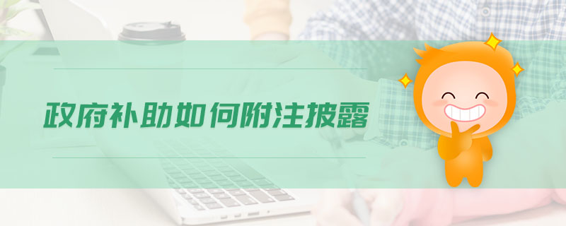 政府補(bǔ)助如何附注披露
