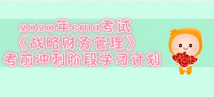 2020年cma考試《戰(zhàn)略財(cái)務(wù)管理》考前沖刺階段學(xué)習(xí)計(jì)劃