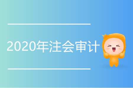 2020年注會(huì)審計(jì)變化集中在哪個(gè)章節(jié)？