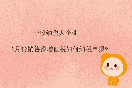 一般納稅人企業(yè)1月份銷售額增值稅如何納稅申報?