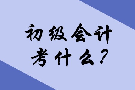 2020年初級(jí)會(huì)計(jì)職稱考試主要考什么內(nèi)容,？