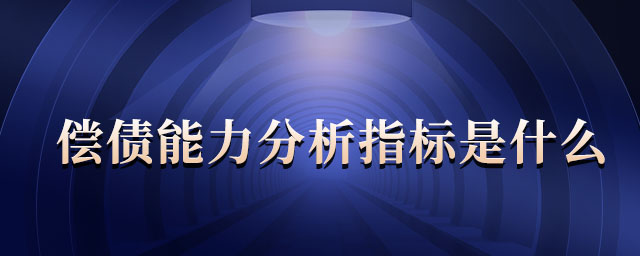 償債能力分析指標(biāo)是什么