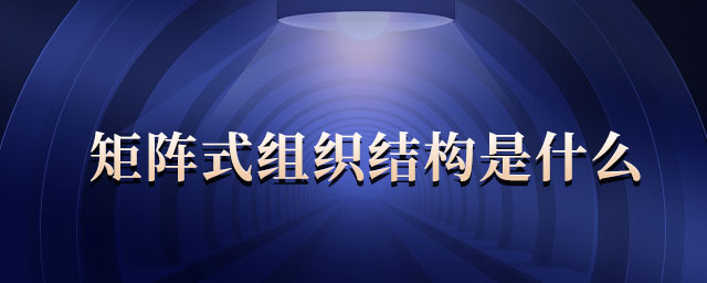 矩陣式組織結(jié)構(gòu)是什么