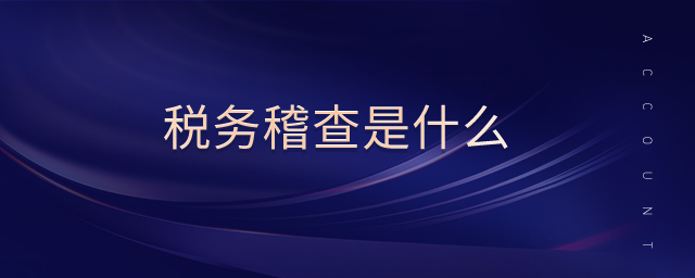 稅務(wù)稽查是什么