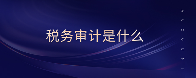 稅務審計是什么