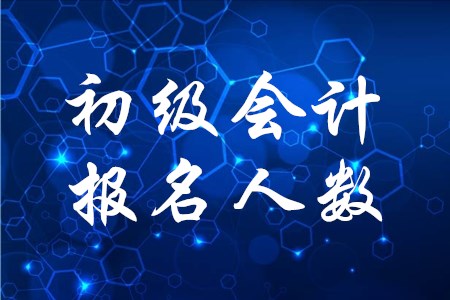 2020年初級會計職稱報名人數(shù)有多少？