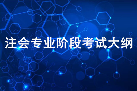 2020年注冊會計師全國統(tǒng)一考試專業(yè)階段考試大綱