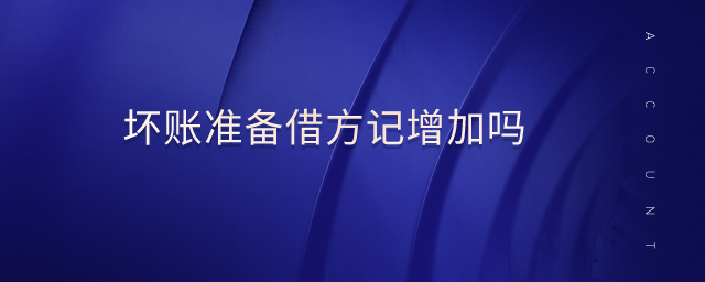 壞賬準(zhǔn)備借方記增加嗎