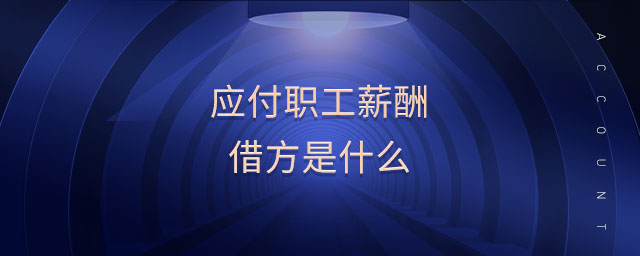 應(yīng)付職工薪酬借方是什么