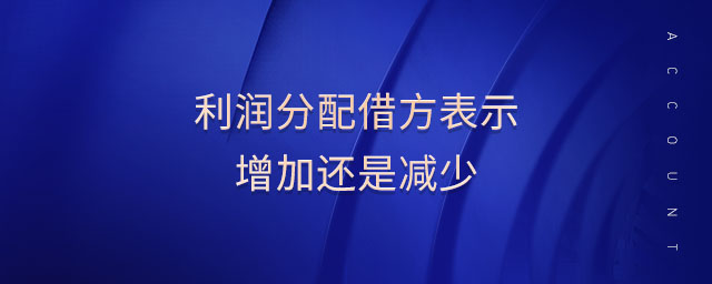 利潤分配借方表示增加還是減少