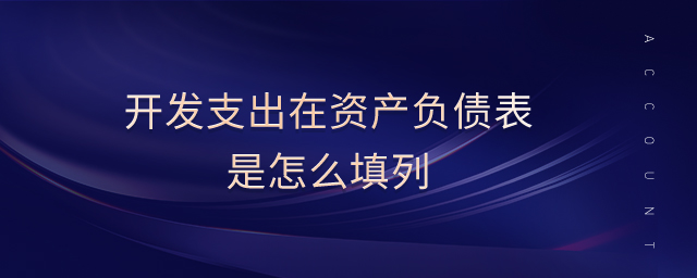 開(kāi)發(fā)支出在資產(chǎn)負(fù)債表是怎么填列