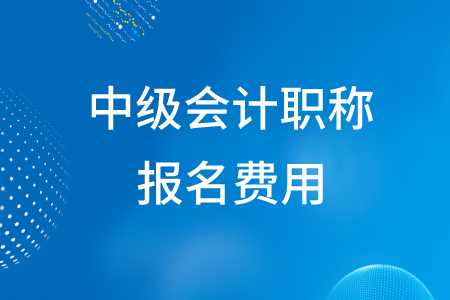 2020年湖北中級(jí)會(huì)計(jì)職稱報(bào)名費(fèi)為多少元,？