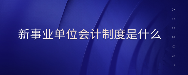 新事業(yè)單位會計(jì)制度是什么