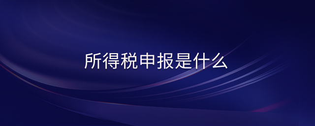 所得稅申報(bào)是什么